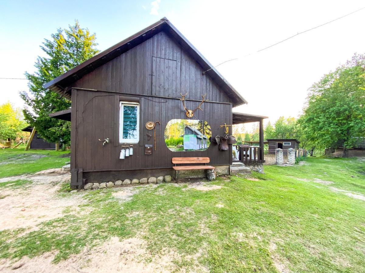 Private Farm Jakuzzi Sauna In The Forest Talsi Exterior foto